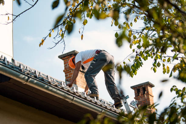 Best Roof Maintenance Services  in Ben Lomond, CA